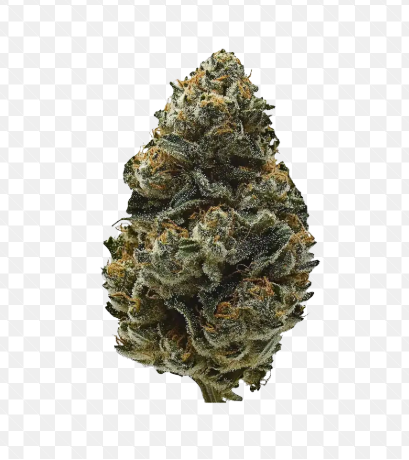 1937 - Princess Haze-flower - 3.5g